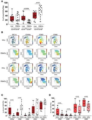 CD49a Expression Identifies a Subset of Intrahepatic Macrophages in Humans